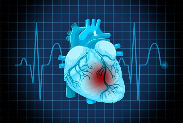 تسارع دقات القلب