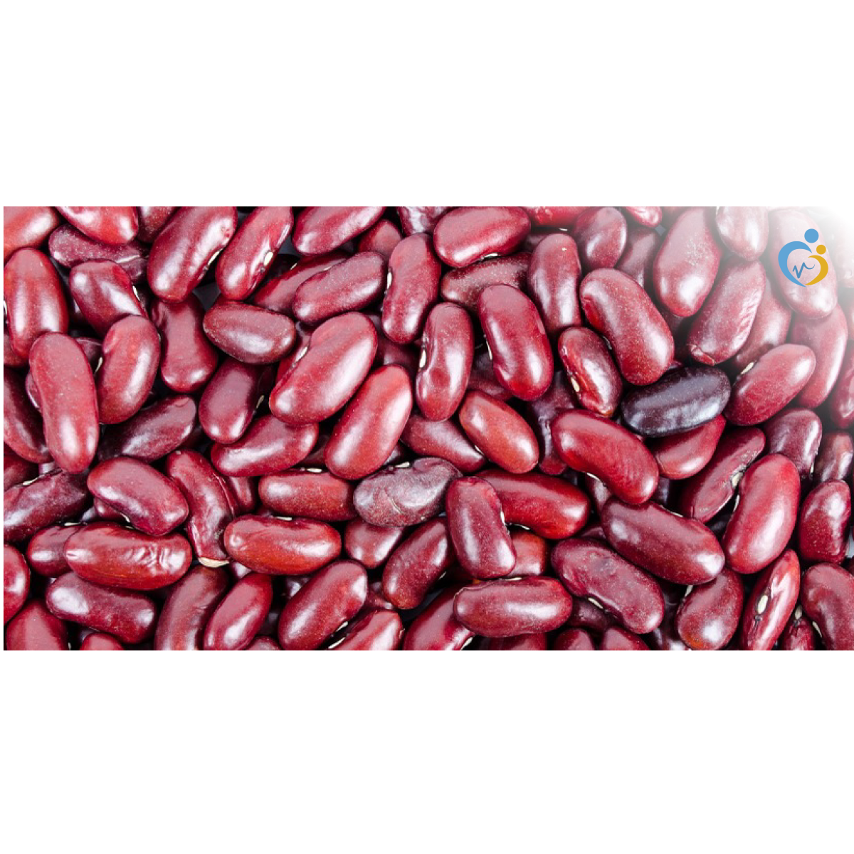 رمل الكلى الأنواع والأسباب والعلاج