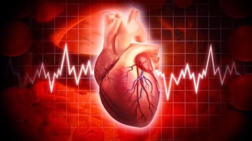 أخطر خمسة أمراض تصيب القلب